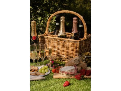 Basket, 6 BOTTLE CARRIER