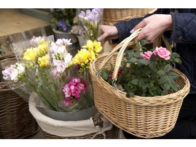 Basket, MEDIUM SWING HANDLE SHOPPER