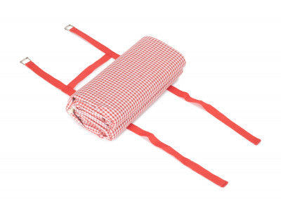 Basket, RED & WHITE GINGHAM PICNIC BLANKET