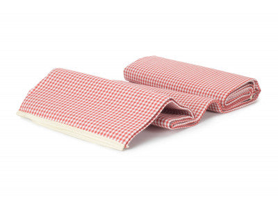 Basket, RED & WHITE GINGHAM PICNIC BLANKET