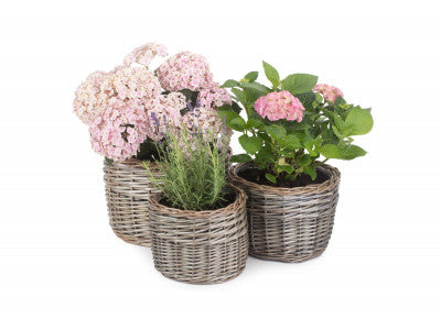 Basket, Set of 3 ROUND ANTIQUE WASH PLANTER 