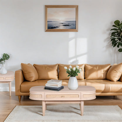 Cane & Mango Wood 1 Drawer Coffee Table