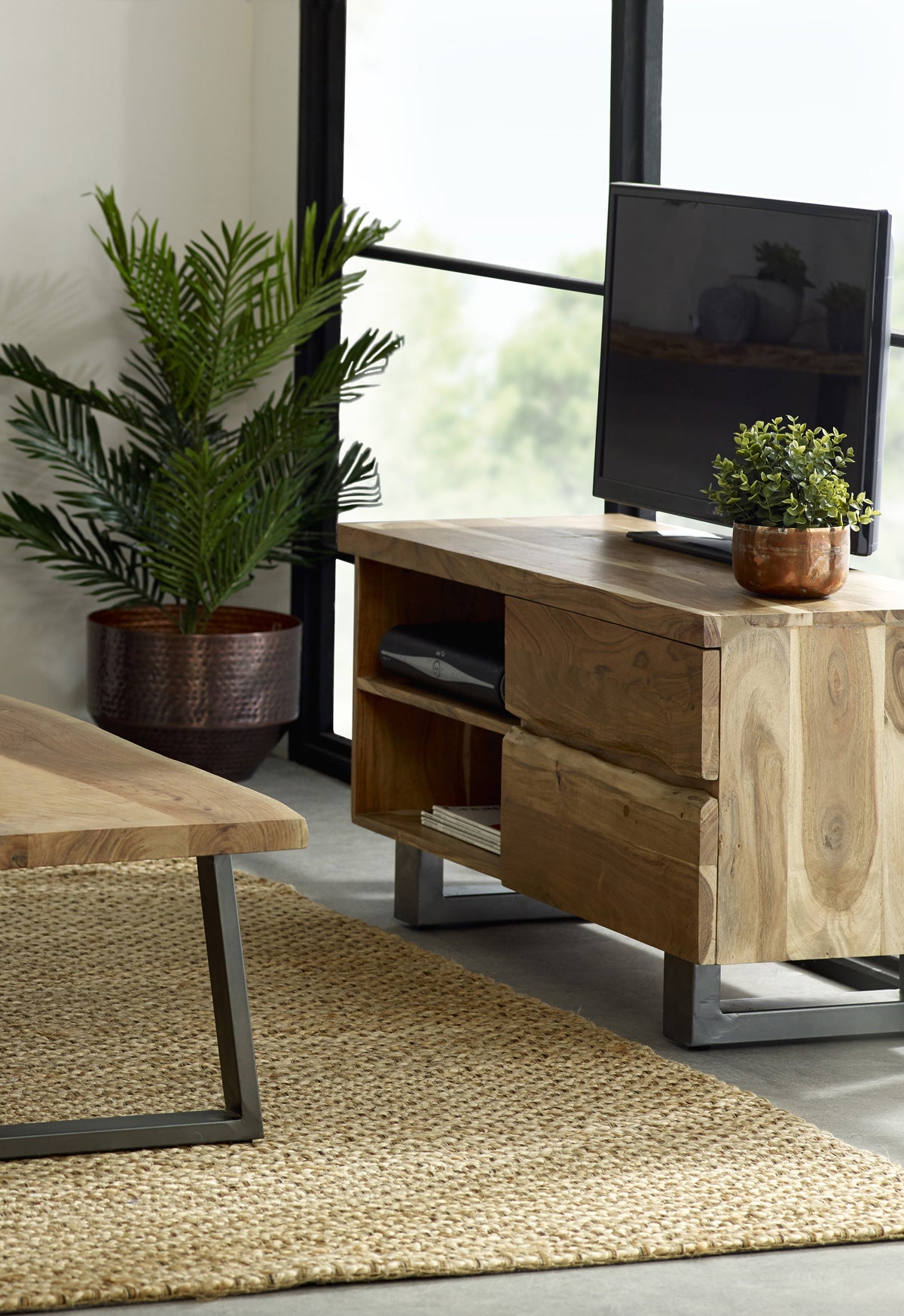 LIVE EDGE 2 DOOR SMALL TV